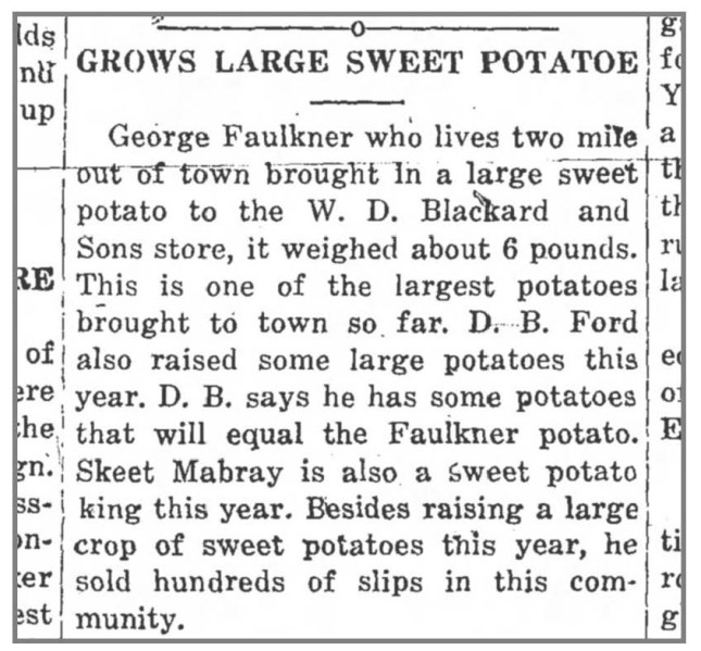 George_Faulkner___Sweet_Potatoe_Farmer